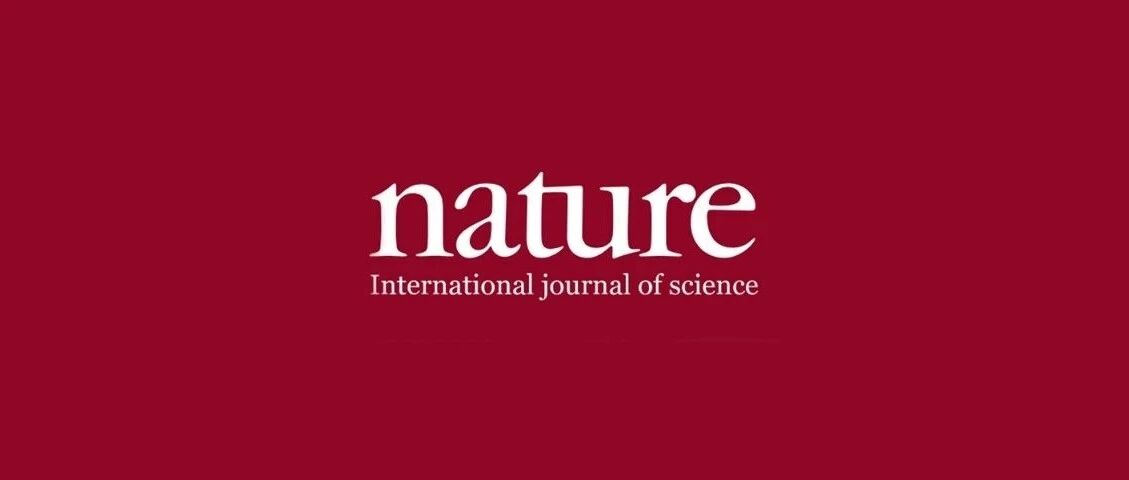 【新文大汇总】超越时代，续SCI后又登上Nature，连续多篇顶级复合材料计算