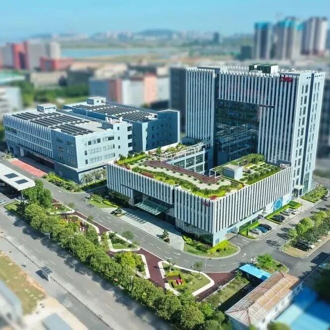 突发！“80后”锂电上市企业董事长被留置！