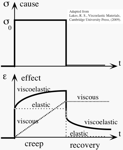 viscoelasticity