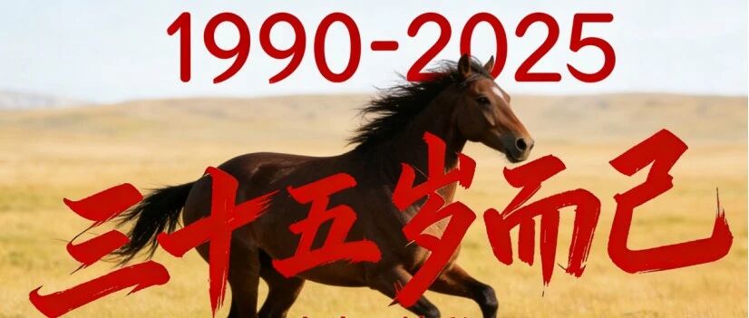再见2025，你好2026！年终总结