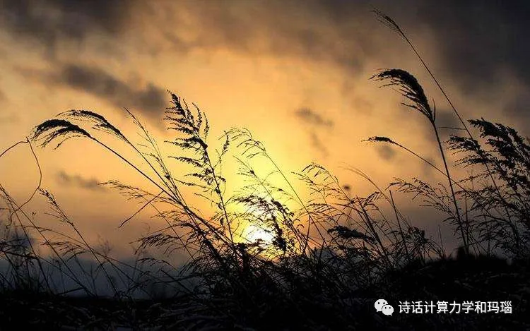 点击查看图片来源 图片