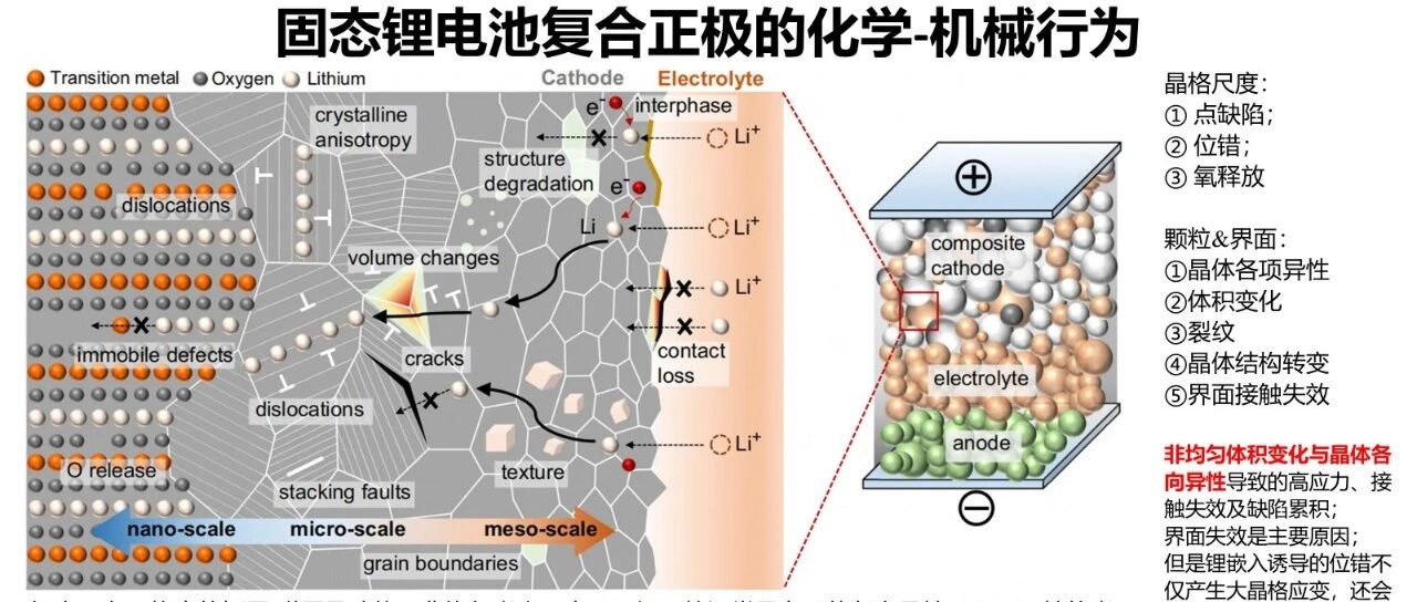 固态锂电池复合正极的化学-机械行为