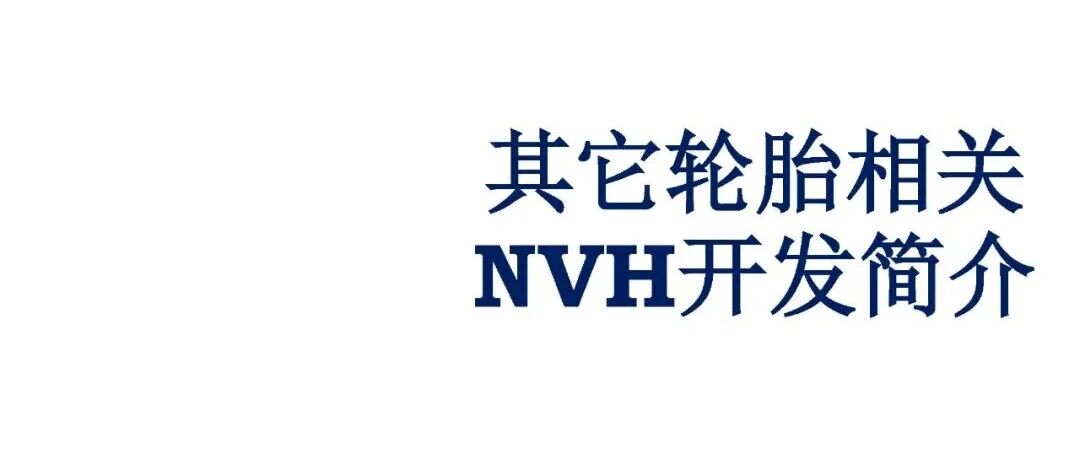其他轮胎相关NVH开发简介
