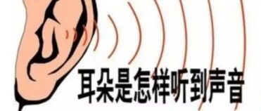 音箱基础知识