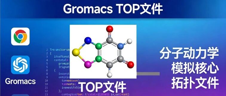 精准构建TOP/ITP文件！ GROMACS实战分子模拟路上的拦路虎