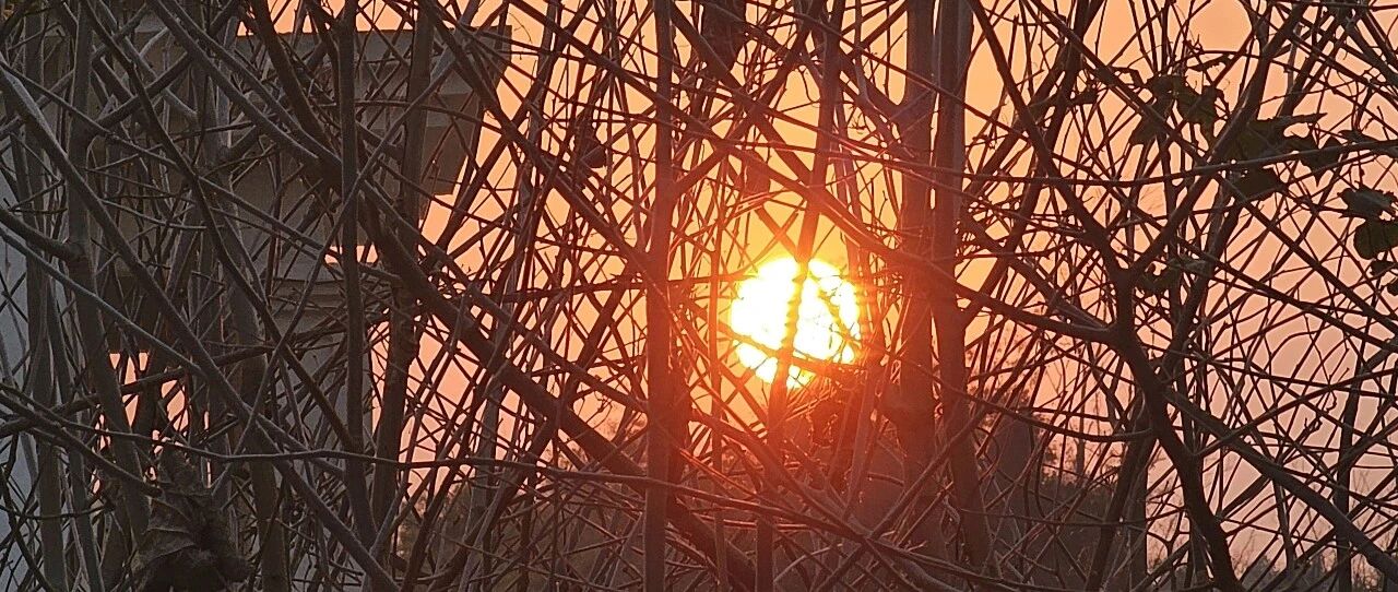 HyperMesh 二次开发偷懒技巧｜不用写交互界面！调试窗口就能传参数