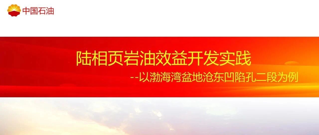 陆相页岩油效益开发关键技术与实践