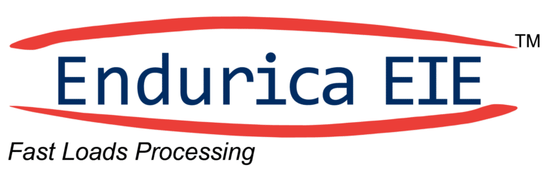 ENDURICA-EIE-LogowTAG-01-768x241-1.png