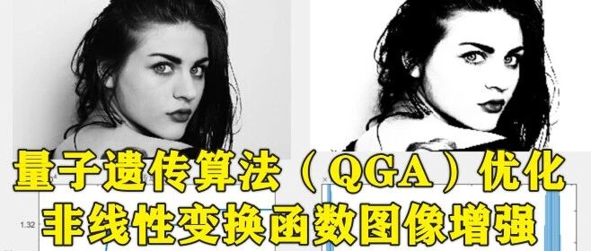 1-406基于Matlab的量子遗传算法（QGA）优化非线性变换Beta函数图像增强