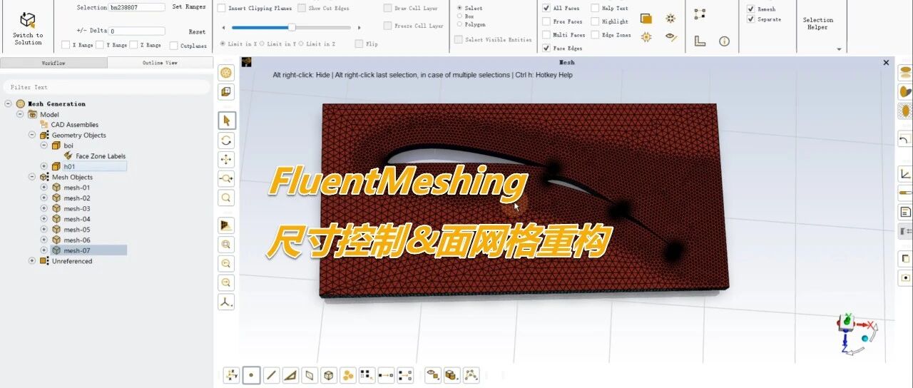 3.3_FluentMeshing-尺寸控制&面网格重构