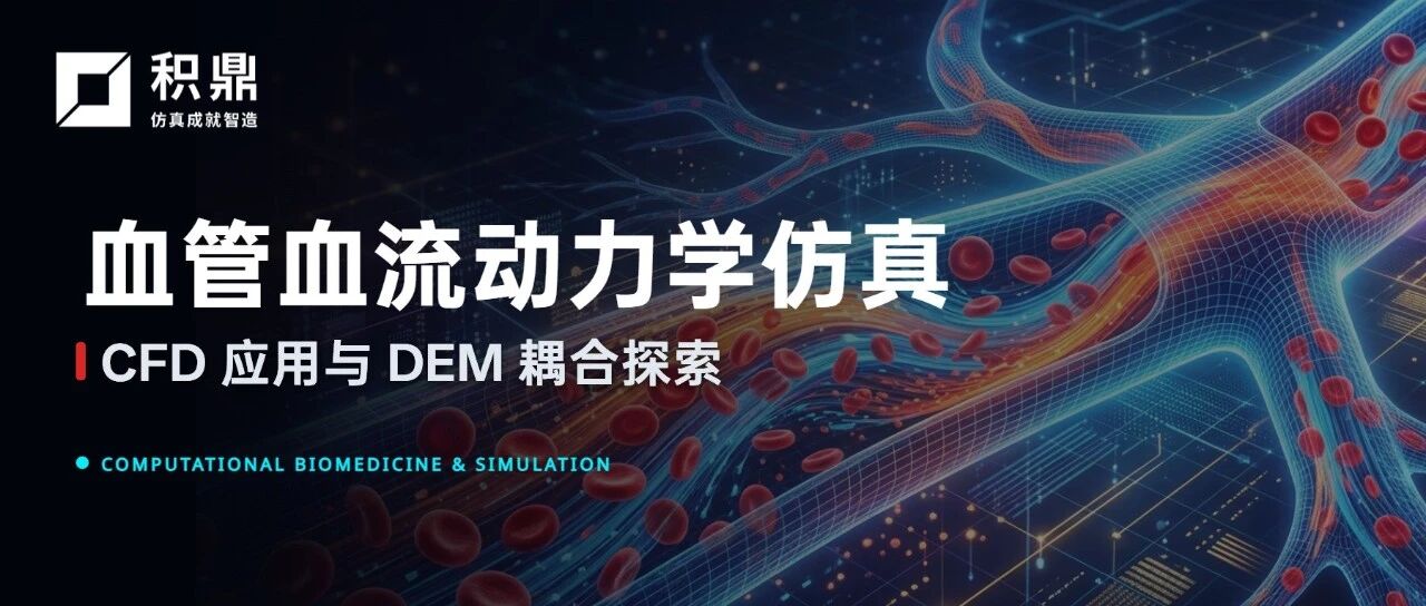 VirtualFlow/DEMMS | 血流动力学仿真：CFD应用与DEM耦合探索