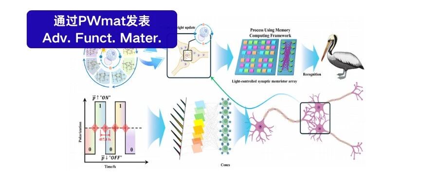 超快光调制滑移铁电隧道结用于存内计算中的突触功能
