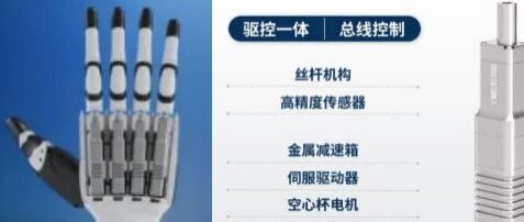 基于 Maxwell 空心杯电枢无槽无刷永磁直流电动机电磁设计