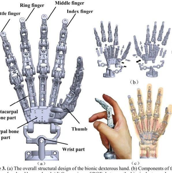 【3D打印】21自由度仿人灵巧手CYJ Hand-0 3D打印图纸 STL格式