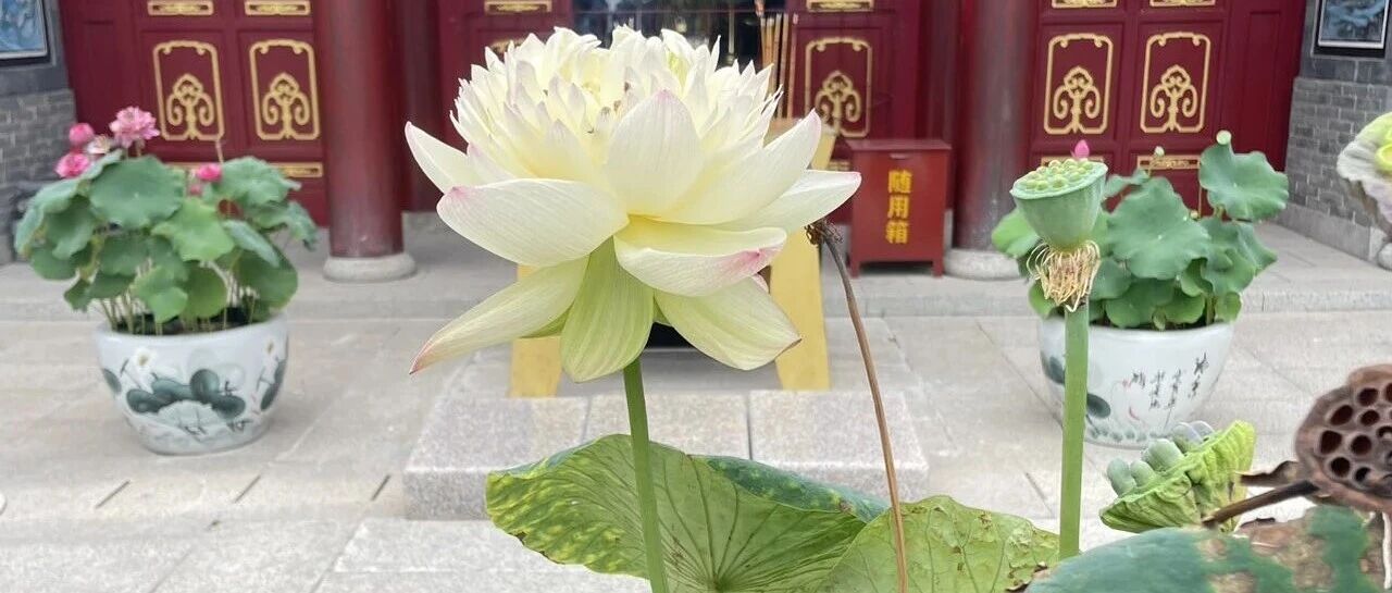 案例：一份工程图，设计和制造的不同理解，导致开裂