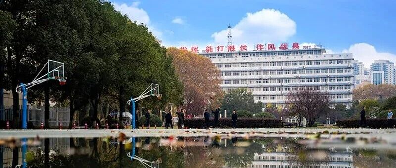 四年，学完76 套教程！平均不到10 天一套，我越来越离不开仿真秀