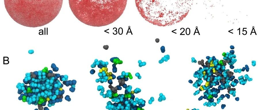 HIV-1脂质体全尺寸MD模拟