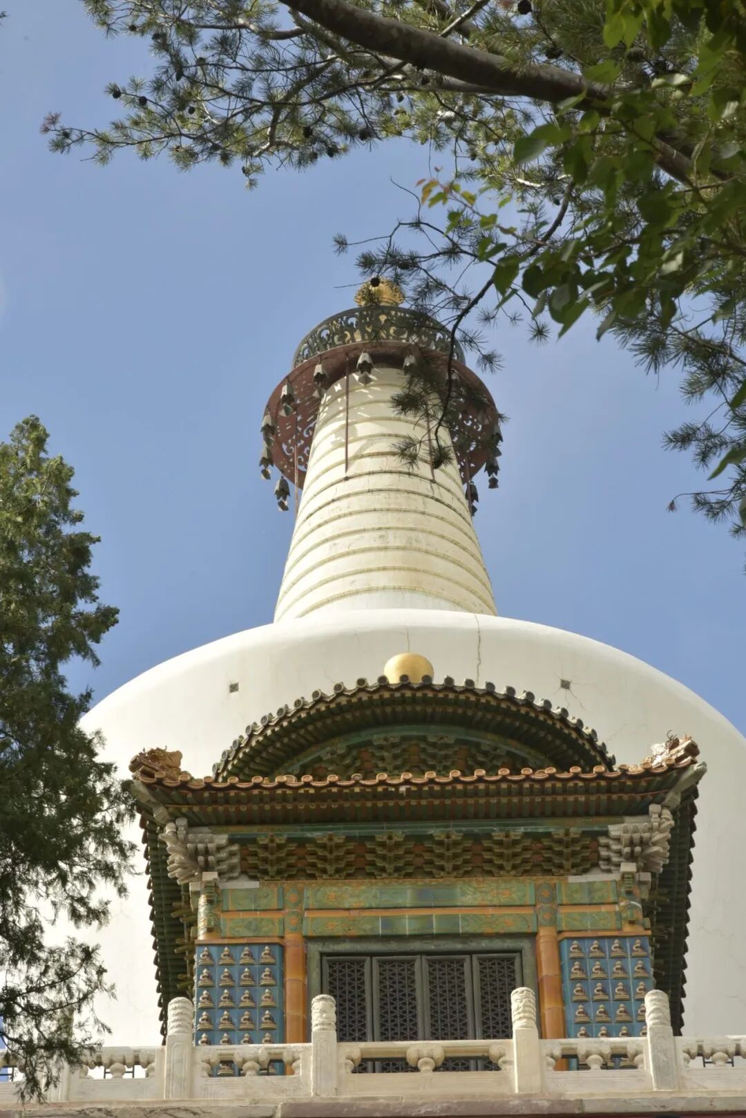 松枝把白塔框进天空里。抬头的那一刻，北京忽然安静了一点。