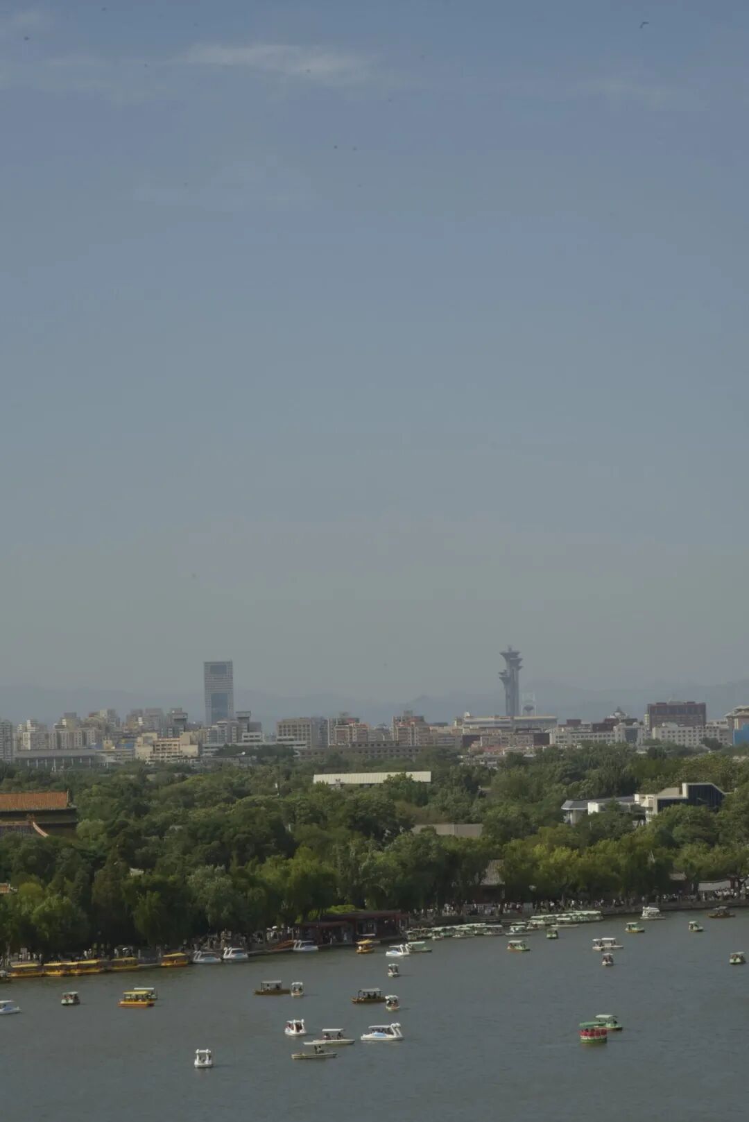 湖面、游船、树海和远处的城市天际线，同时装进一张照片。