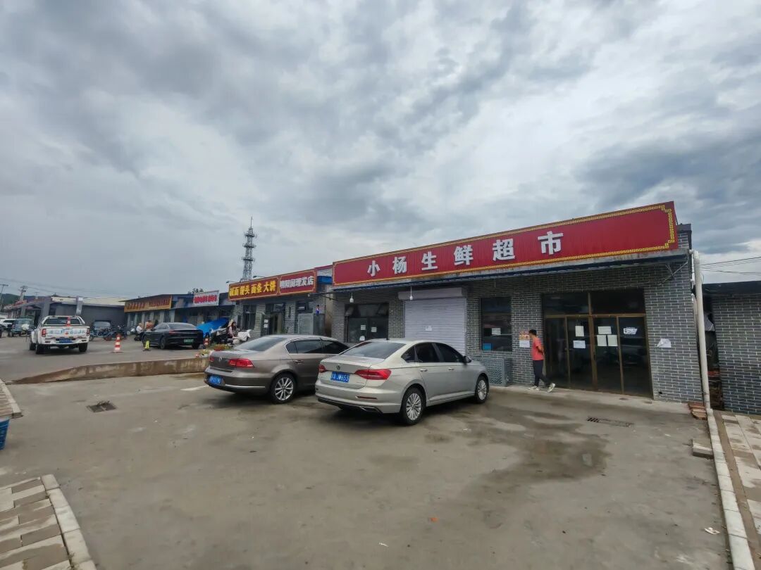 村街旁的生鲜超市
