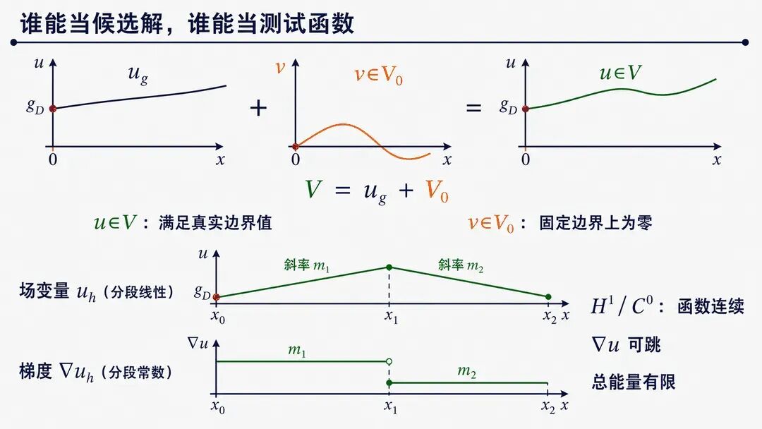 试函数与测试函数在 Dirichlet 边界上的区别