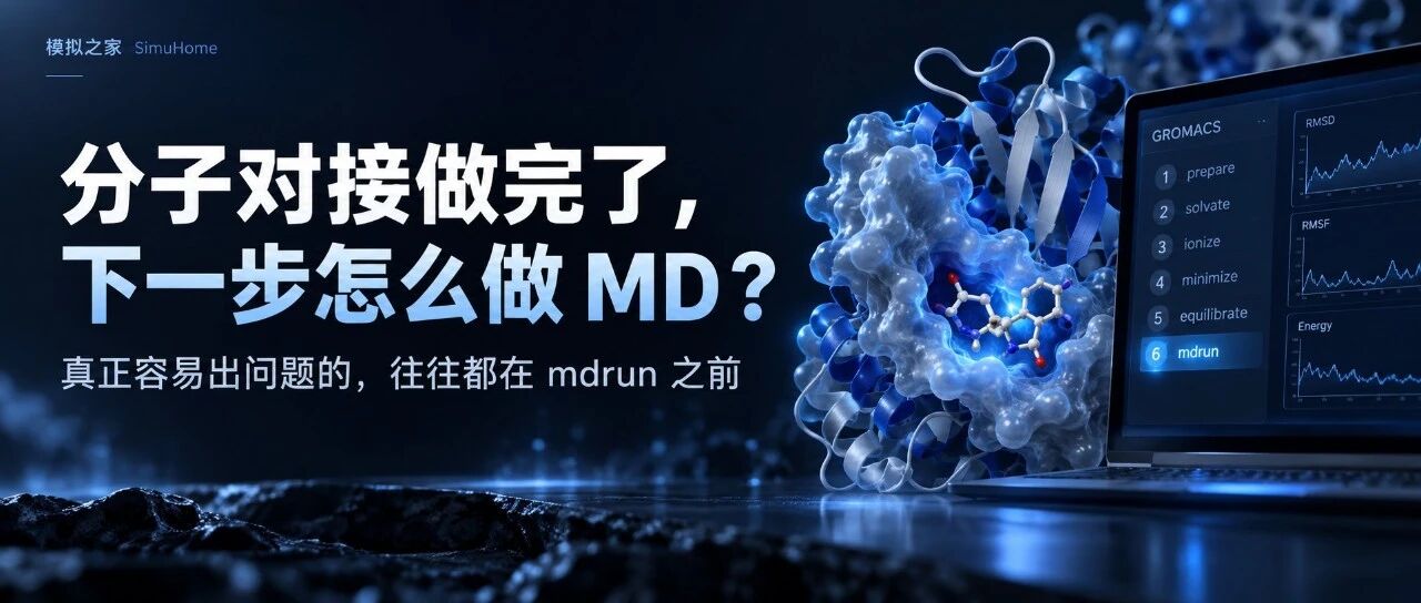 分子对接做完了，下一步怎么做MD？