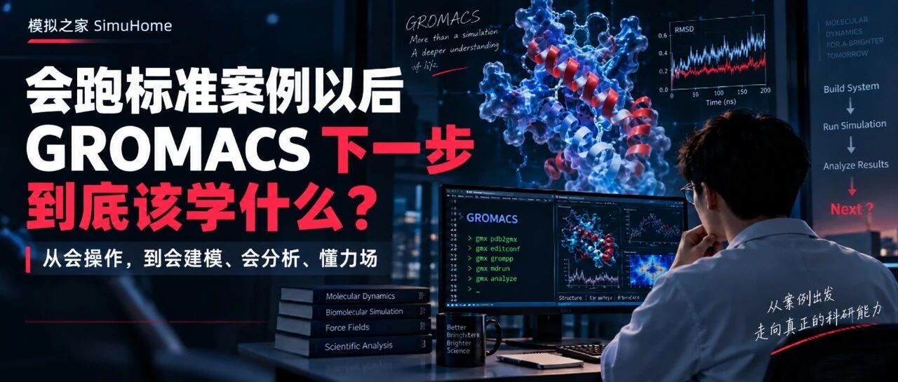 会跑标准案例以后，GROMACS下一步到底该学什么？