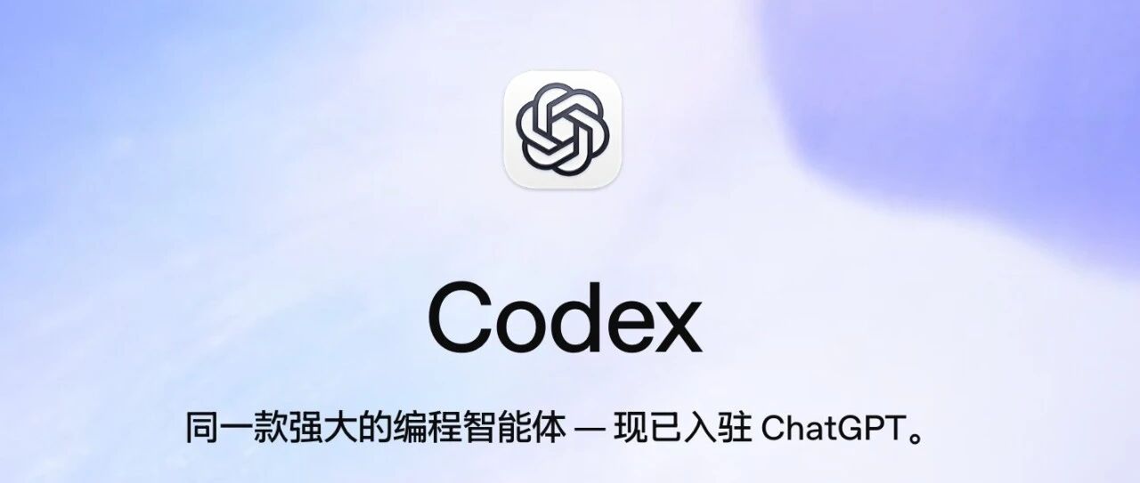 一篇文章，手把手教你使用 Codex
