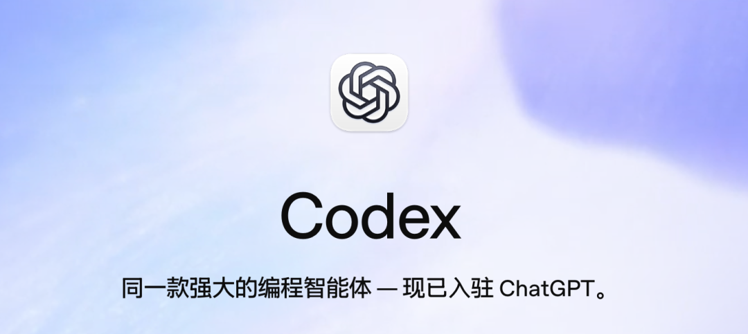 Codex 使用教程封面