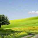 footstep