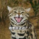 小溪