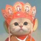 流月光