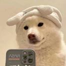 心想事陈