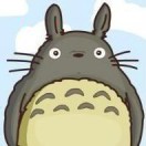 龙猫Jay