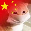 胡桃CFD
