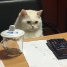 风继续吹
