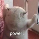 亮仔