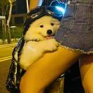 李