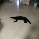 凡人