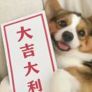 ^O^半世颠