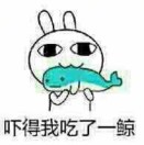 空船