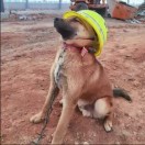 奋斗吧