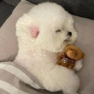来杯冰可乐丶