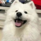 既白