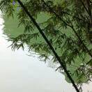 cengan🌊🎋