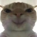 鼠鼠