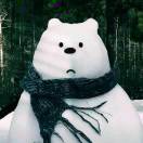 一只白熊🐻