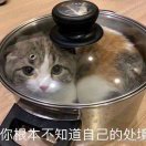 嘿嘿嘿