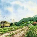 黄佳老师