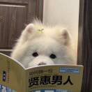 静安好